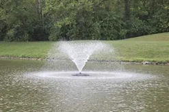 Anjon Manufacturing 1/3HP Floating Fountain with 100-Foot Cord and 4 Nozzles