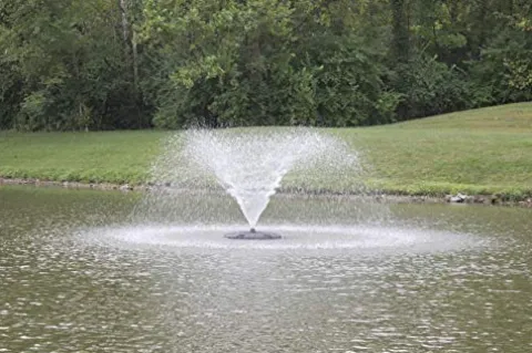 Anjon Manufacturing 1/3HP Floating Fountain with 100-Foot Cord and 4 Nozzles