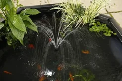 Aquagarden Complete Raised Window Pond Kit – Octagon Mocha