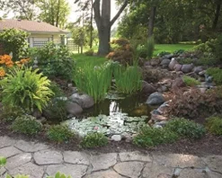 Aquascape DIY Backyard Pond Kit 6ft x 4ft Black