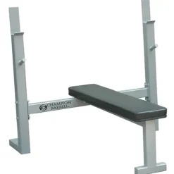 Athletic Connection Champion Barbell Field House Competition Bench Gray Silver