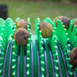 Bag-A-Nut 18” Push Black Walnut Harvester Nut Picker Upper – Small (Nuts 1 1/2″ to 2″)