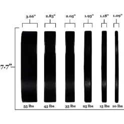 BalanceFrom Olympic Bumper Plate Set Black
