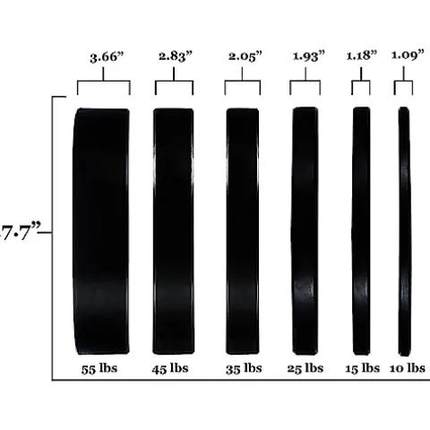 BalanceFrom Olympic Bumper Plate Set Black
