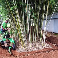 Bamboo Shield Bamboo Root Barrier/Water Barrier 200ft x 24in x 60mil Black