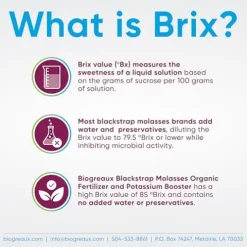 Biogreaux Organic Blackstrap Molasses Fertilizer & Potassium Booster 55 Gallon