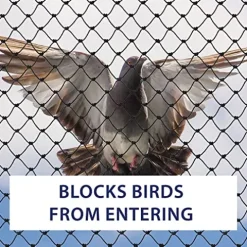 Bird-X Heavy-Duty Netting 50ft x 100ft Black