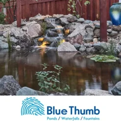 Blue Thumb Elite 1000 Gallon Water Garden and Pond Kit 8′ x 11′ Blue