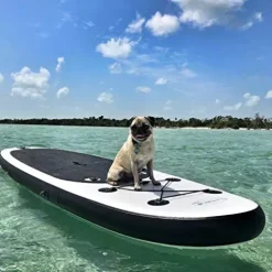 Blue Water Toys Inflatable Crossover Stand Up Paddle Board/Kayak Kit White and Black