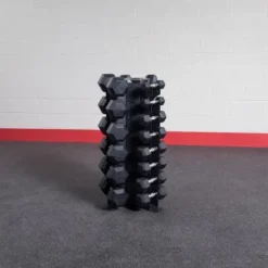 Body-Solid GDR80-SDRS550 Dumbbell Set with Vertical Rack Black