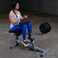 Body-Solid Seated Calf Raise Exercise Machine Silver