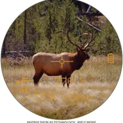 Bushnell Fusion 1-Mile 10x 42mm ARC Binocular Laser Rangefinder Black