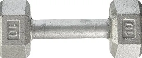 Champion Barbell Solid Hex Dumbbell 90 lb Grey