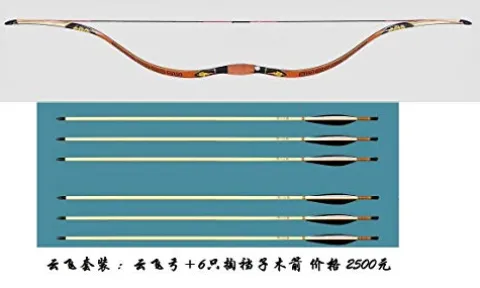 Chinese Traditional Bow Cloud Fly with 6 Arrows (40)