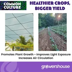 COMMON CULTURE Professional Grade Trellis Netting Bulk Roll 6.5ft x 4920ft Heavy Duty Scrog Net