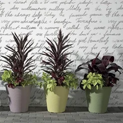 Crescent Garden Madison Planter Double-Walled Plant Pot 34-Inch Mocha