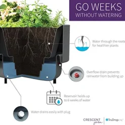 Crescent Garden Nest Indoor/Outdoor Raised Garden-Bed Planter Box 22-Inch x 44-Inch Olive