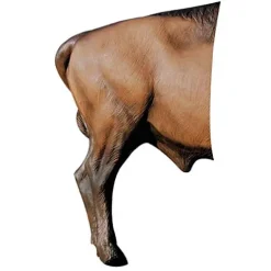 Delta McKenzie Bison Archery Target Replacement Rear Multicolor