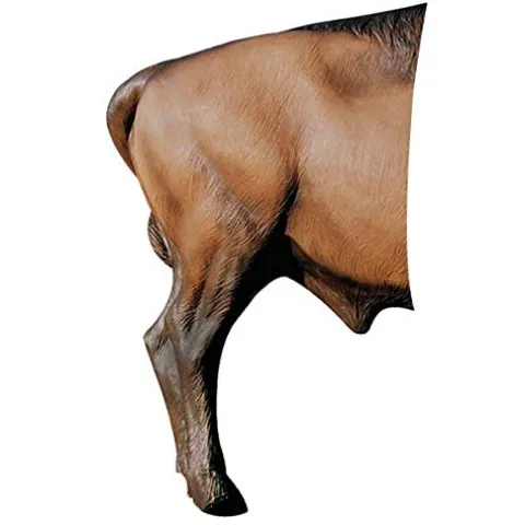 Delta McKenzie Bison Archery Target Replacement Rear Multicolor