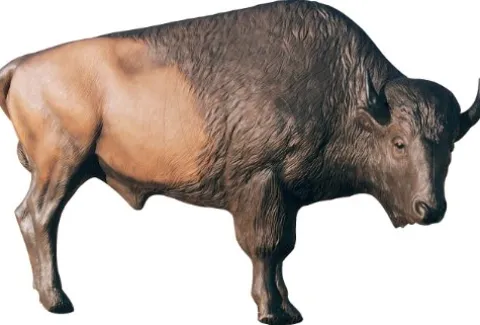 Delta McKenzie HD Bison 3D Target Multicolor