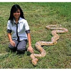 Design Toscano Giant Burmese Python Snake Statue Full Color