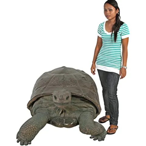 Design Toscano Grand Scale Wildlife Galapagos Tortoise Statue Full Color