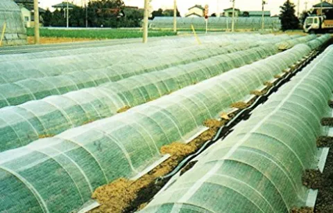 DIO-Betalon 117″ x 328′ DT-550 PVA Agricultural Floating Row Cover Natural