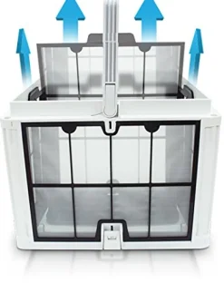 Dolphin Quantum Robotic Inground Pool Cleaner