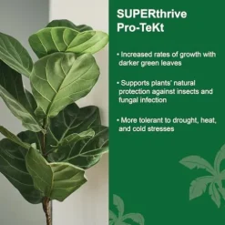 Dyna-Gro SUPERthrive Pro-TeKt Silicon Supplement 55 Gallon