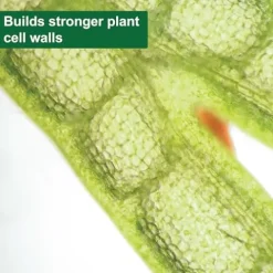 Dyna-Gro SUPERthrive Pro-TeKt Silicon Supplement 55 Gallon