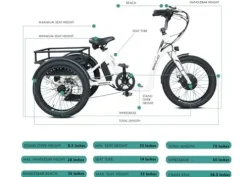 EMOJO Bull 8.5″ Low Step Through Electric Tricycle 500W 7 Speed Blue