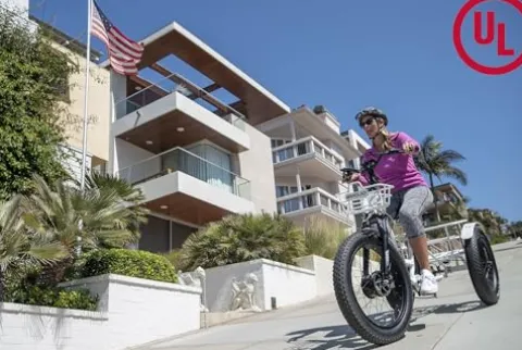 EMOJO Caddy Pro Fat Tire Electric Tricycle Hydraulic Disk Brakes Ebike Trike 7 Speed Pedal Assist 3 Wheel Electric Bike 48V 15.6Ah Battery LCD Display Apple Red