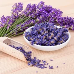 Everwilde Farms Organic Vera Lavender Herb Seeds Gold Vault Packet 1 Lb