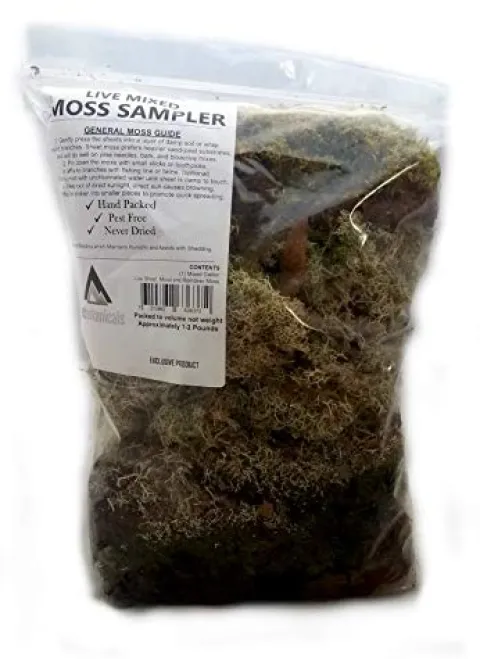 EZ Botanicals Live Mixed Moss Sampler – Premium Terrarium Grade – Pest Free 100 Quart