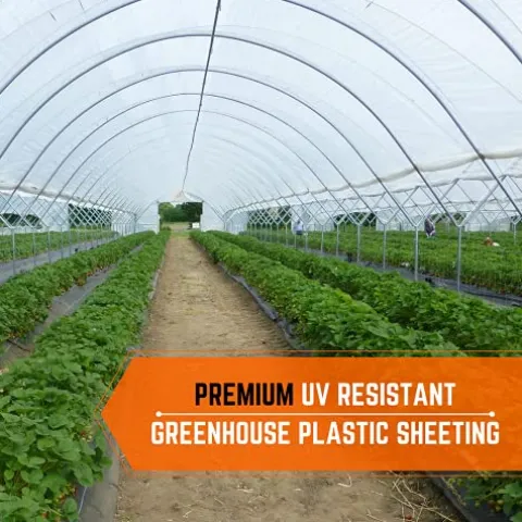 Farm Plastic Supply Clear Greenhouse Plastic Sheeting 8 mil 50′ x 70′ White