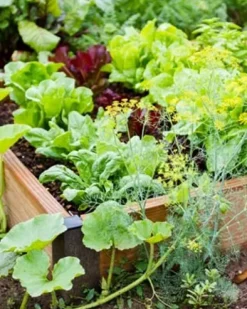 Farm Plastic Supply String Reinforced Silage Cover Black/White 6 Mil 52′ x 50′ Heavy Duty Polyethylene