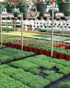 Farm Plastic Supply String Reinforced Silage Cover Black/White 6 Mil 66′ x 75′