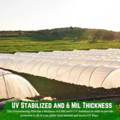 Farm Plastic Supply String Reinforced 6 Mil White Plastic Sheeting 20′ x 150′ White