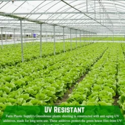 Farm Plastic Supply String Reinforced 10 Mil Clear Greenhouse Plastic Sheeting 42′ x 75′ Clear