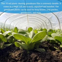 Farm Plastic Supply Vapor Barrier Supply String Reinforced 10 mil Clear Greenhouse Plastic Sheeting Clear 54′ x 100′