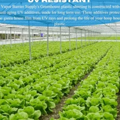 Farm Plastic Supply Vapor Barrier Supply – String Reinforced 10 mil Clear Greenhouse Plastic Sheeting (60′ x 75′) Clear