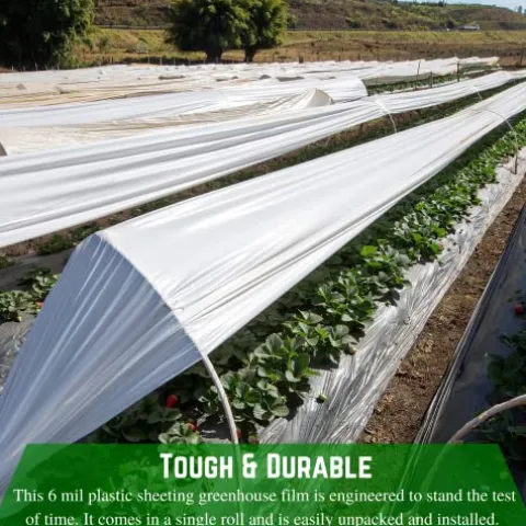 Farm Plastic Supply White Greenhouse Plastic Sheeting 6 Mil 40′ x 150′ UV Resistant