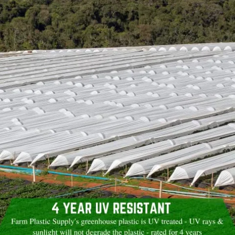 Farm Plastic Supply White Greenhouse Plastic Sheeting 6 Mil 40′ x 150′ UV Resistant