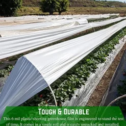 Farm Plastic Supply White Greenhouse Plastic Sheeting 6 mil 32′ x 100′