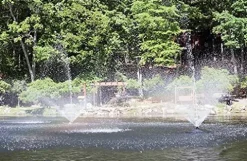 Fawn Lake Fountains 1/2, 3/4, 1 HP Floating Fountains Black