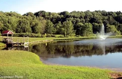 Fawn Lake Fountains 1/2, 3/4, 1 HP Floating Fountains Black