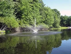 Fawn Lake Fountains Model SF50 1/2 HP Pond Fountain with 7 Patterns, 100ft Cord