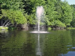 Fawn Lake Fountains Model SF50 1/2 HP Pond Fountain with 7 Patterns, 100ft Cord