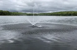 Fawn Lake Fountains Pond Fountain Model SF25 with 7 Patterns, 1/3 HP Pump, 100ft Cable Flf Sf25