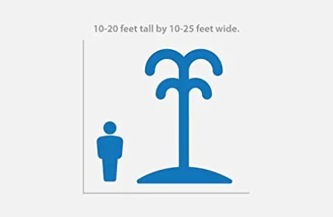 Fawn Lake Fountains SF75 Floating Fountain 7 Patterns Energy-Efficient 110V